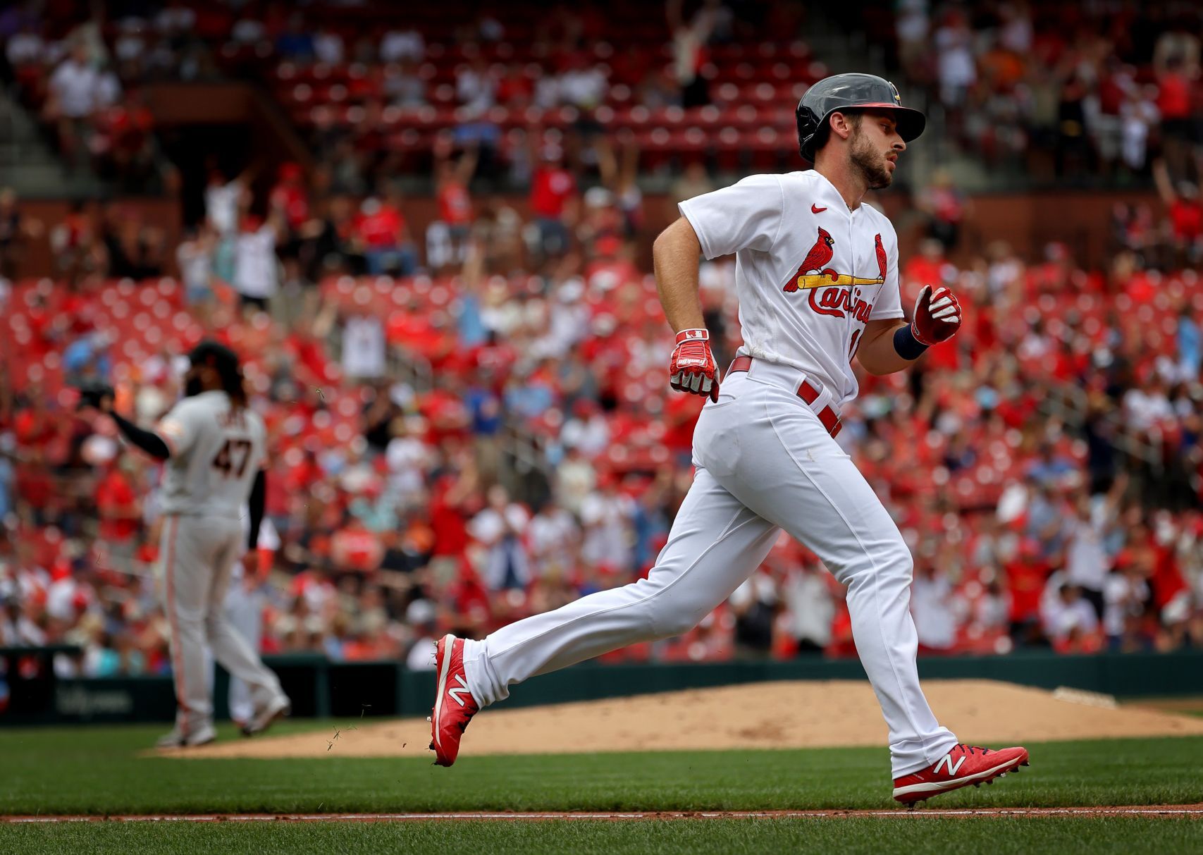 San Francisco Giants vs St. Louis Cardinals